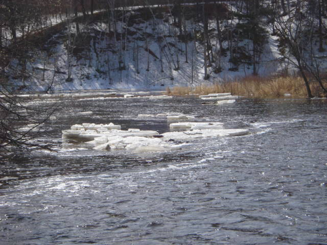 Pike Creek March 17, 2009
