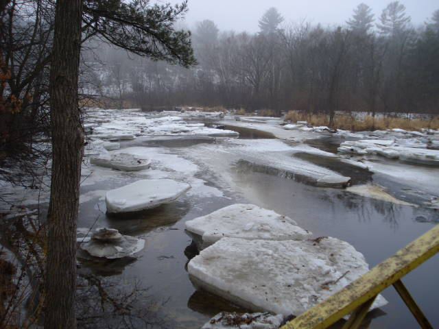 Pike Creek March 21, 2009