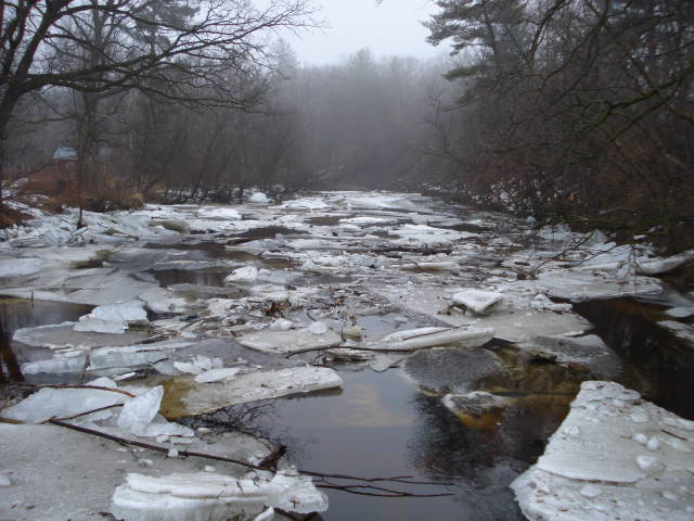 Pike Creek March 21, 2009