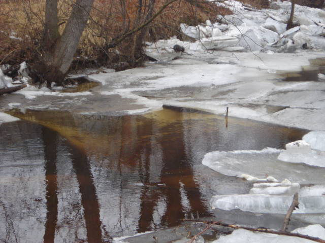 Pike Creek March 21, 2009