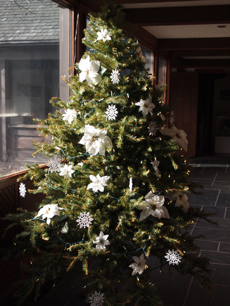 http://morrisoncountyhistory.org/museumpics/christmastree2012.jpg Christmas tree at Weyerhaeuser Museum, 2012