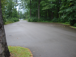 http://morrisoncountyhistory.org/museumpics/pinegrovepark_9.jpg Cement is taking over at Pine Grove Park, Little Falls, MN, August 31, 2011, photo from MCHS collections.