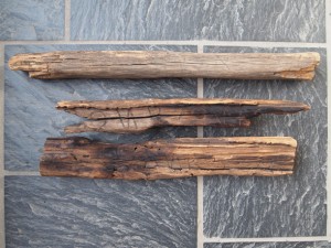Witness Trees of 1852 N.S. Survey