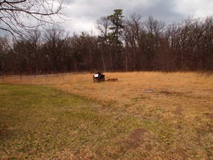 Prairie area on the north side of the Weyerhaeuser Museum property, 2015.