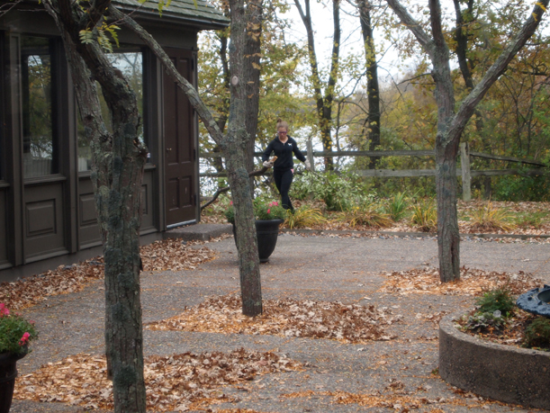 Buckthorn removal at Weyerhaueser Museum by LF High School forestry students under direction of Doug Ploof, October 2015.