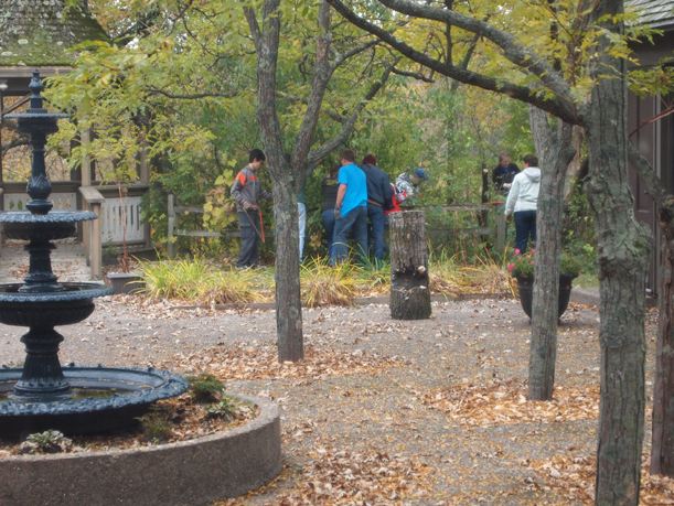 Buckthorn removal at Weyerhaueser Museum by LF High School forestry students under direction of Doug Ploof, October 2015.