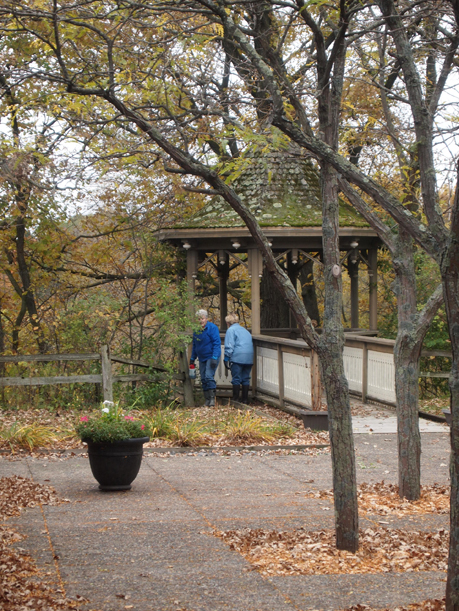MCHS board members Camille Warzecha and Pat Quinn trying to figure out how to get down the bank to apply chemical to buckthorn stumps. The students scampered down like mountain goats. October 9, 2015.
