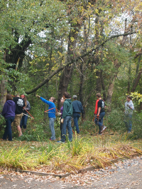 Buckthorn removal at Weyerhaueser Museum by LF High School forestry students under direction of Doug Ploof, October 2015.