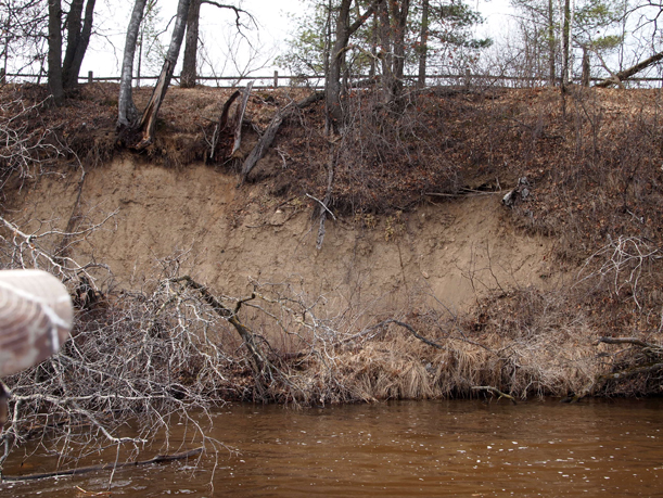 Riverbank erosion at The Charles A. Weyerhaeuser Memorial Museum, Little Falls, MN. , March 2016.