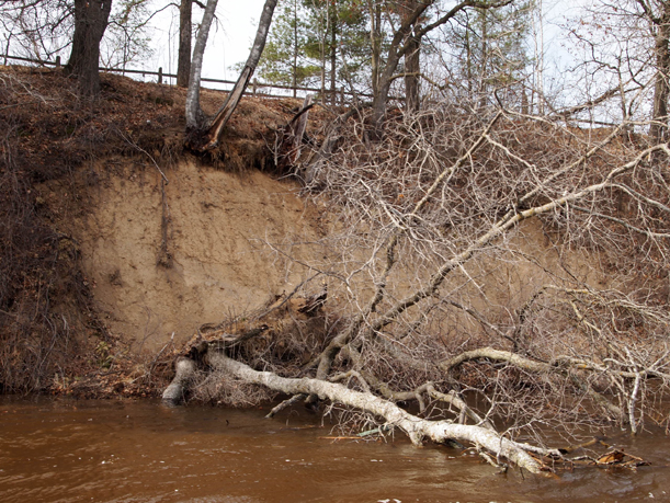 Riverbank erosion at The Charles A. Weyerhaeuser Memorial Museum, Little Falls, MN. , March 2016.