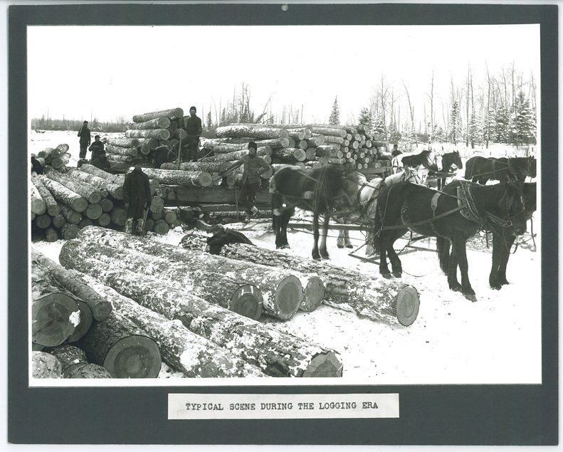 Logging scene, MCHS collections #0000.000.323.