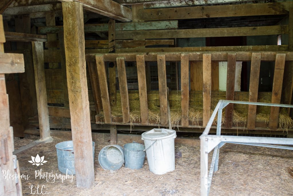 Animal pen in barn at Smudas' Zoo property, 2019, photo courtesy Blossoms Photography, LLC.
