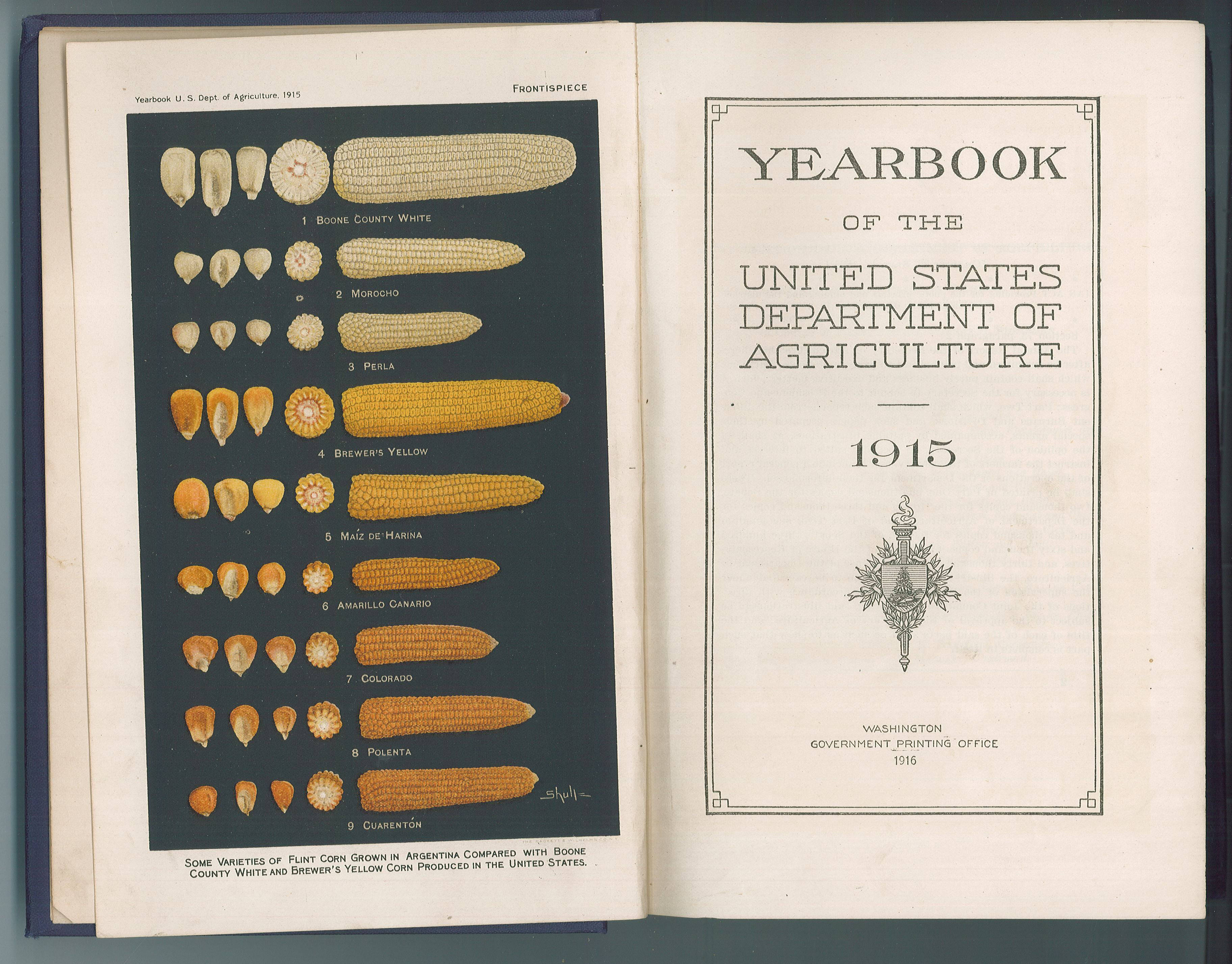 “Yearbook of the United States Department of Agriculture” 1915, published by the Government Printing Office, Washington, D.C., 1916. The inside front cover of this book, which was donated by Verlaine M. Wright, is stamped “C. A. Lindbergh, Representative, 6th Dist.” MCHS collections #2008.86.2.