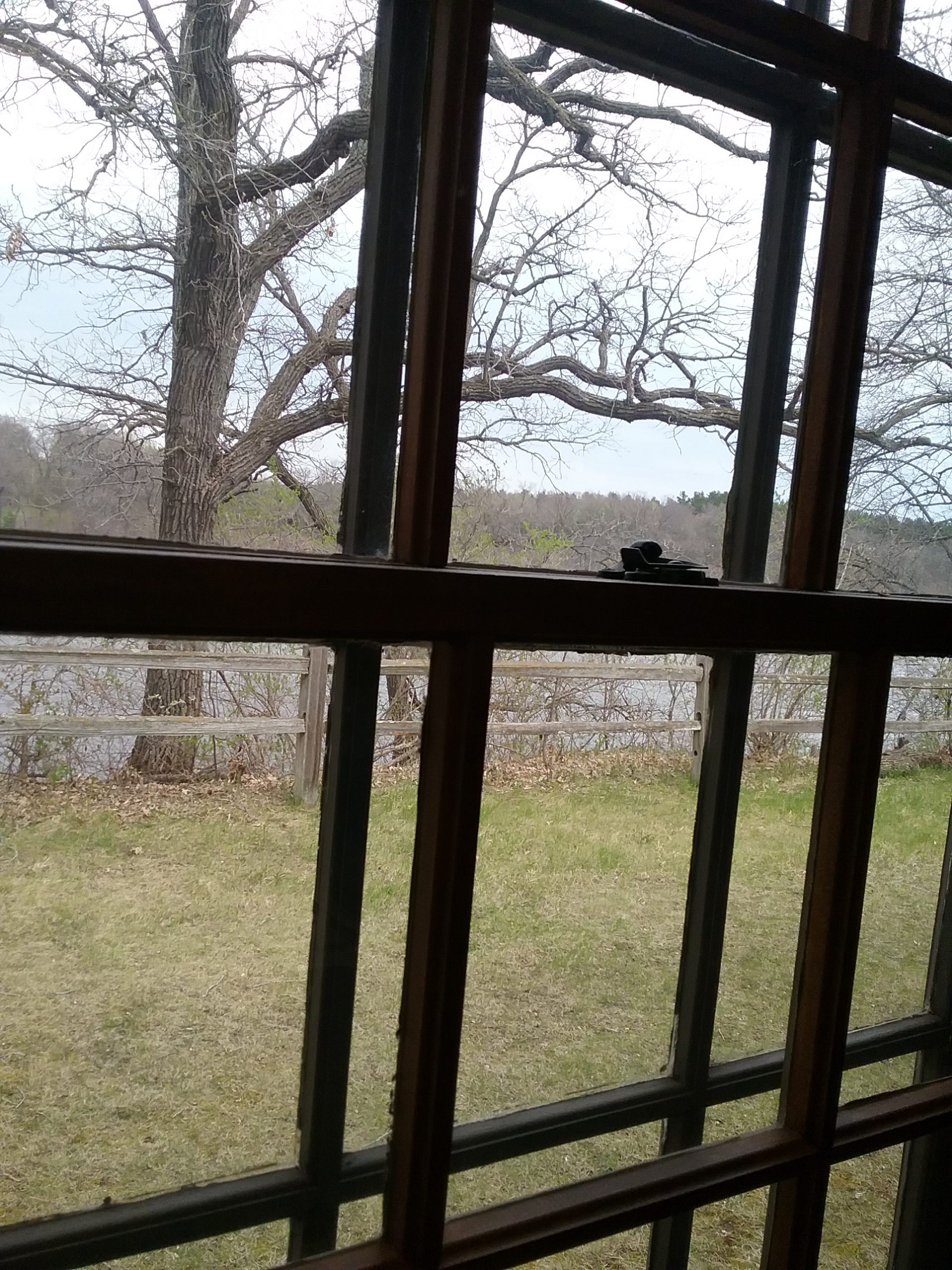 This shows the proximity of the fence through the museum's window. Taken May 11, 2019.