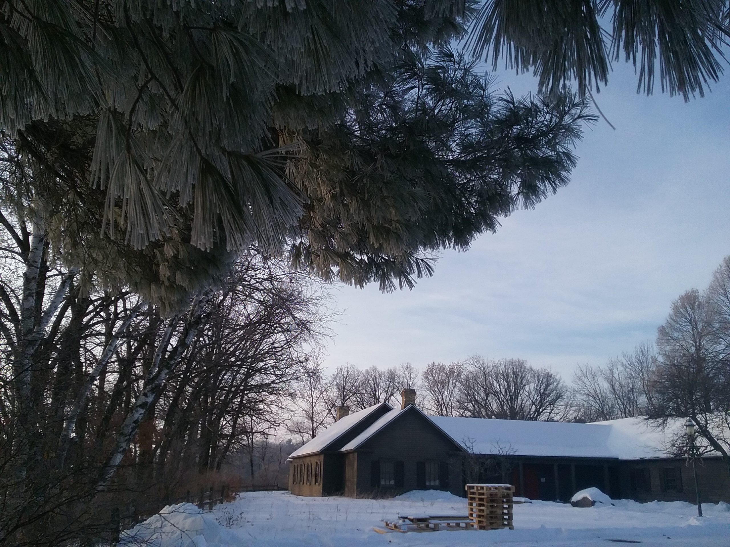 This is a winter shot of the museum taken from under the Big Pine. It shows the relationship of the Big Pine to the museum and the fence. Taken December 21, 2019.