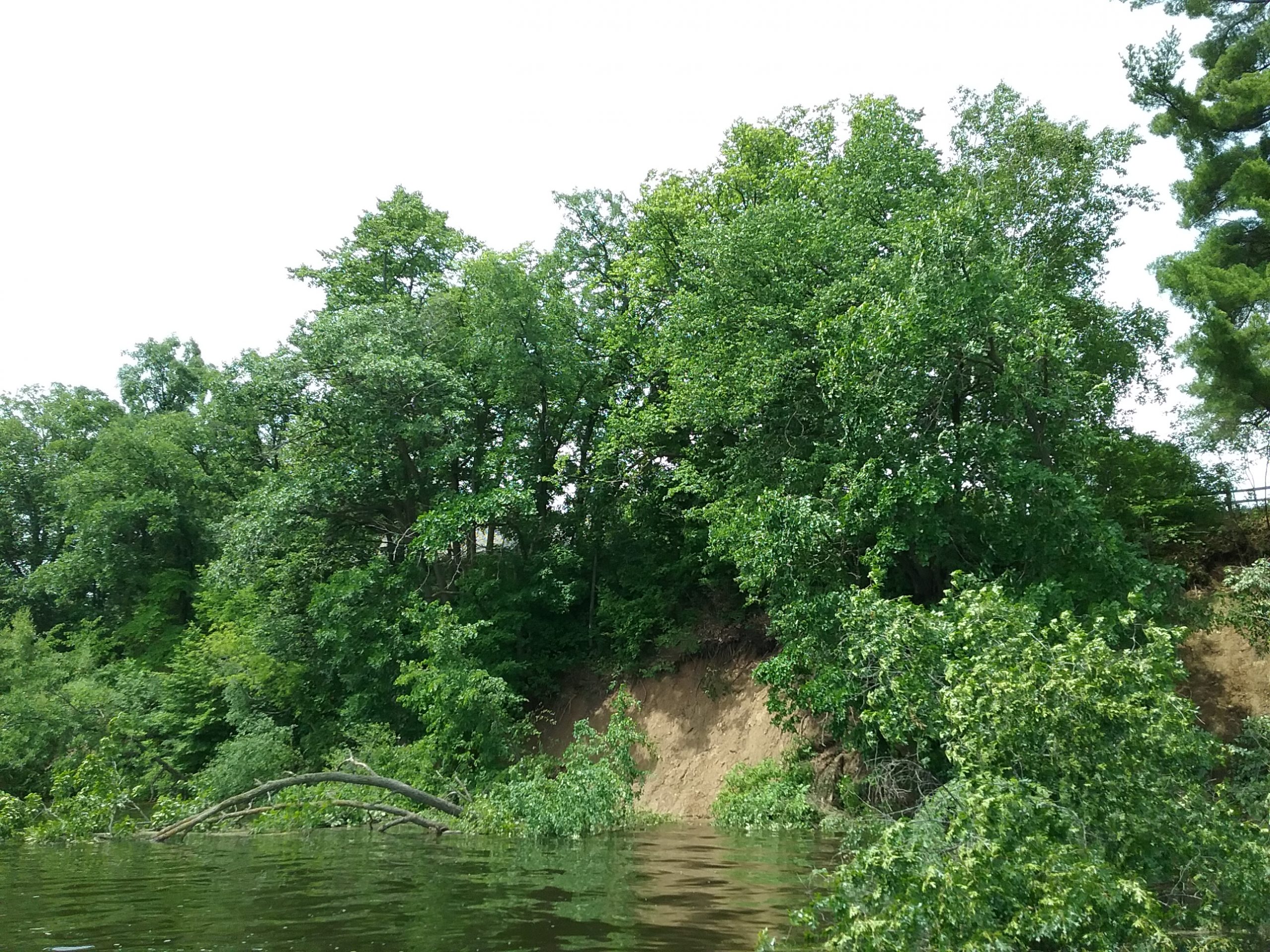 This shows that the washout extends south of the Big Pine. Taken July 3, 2020.