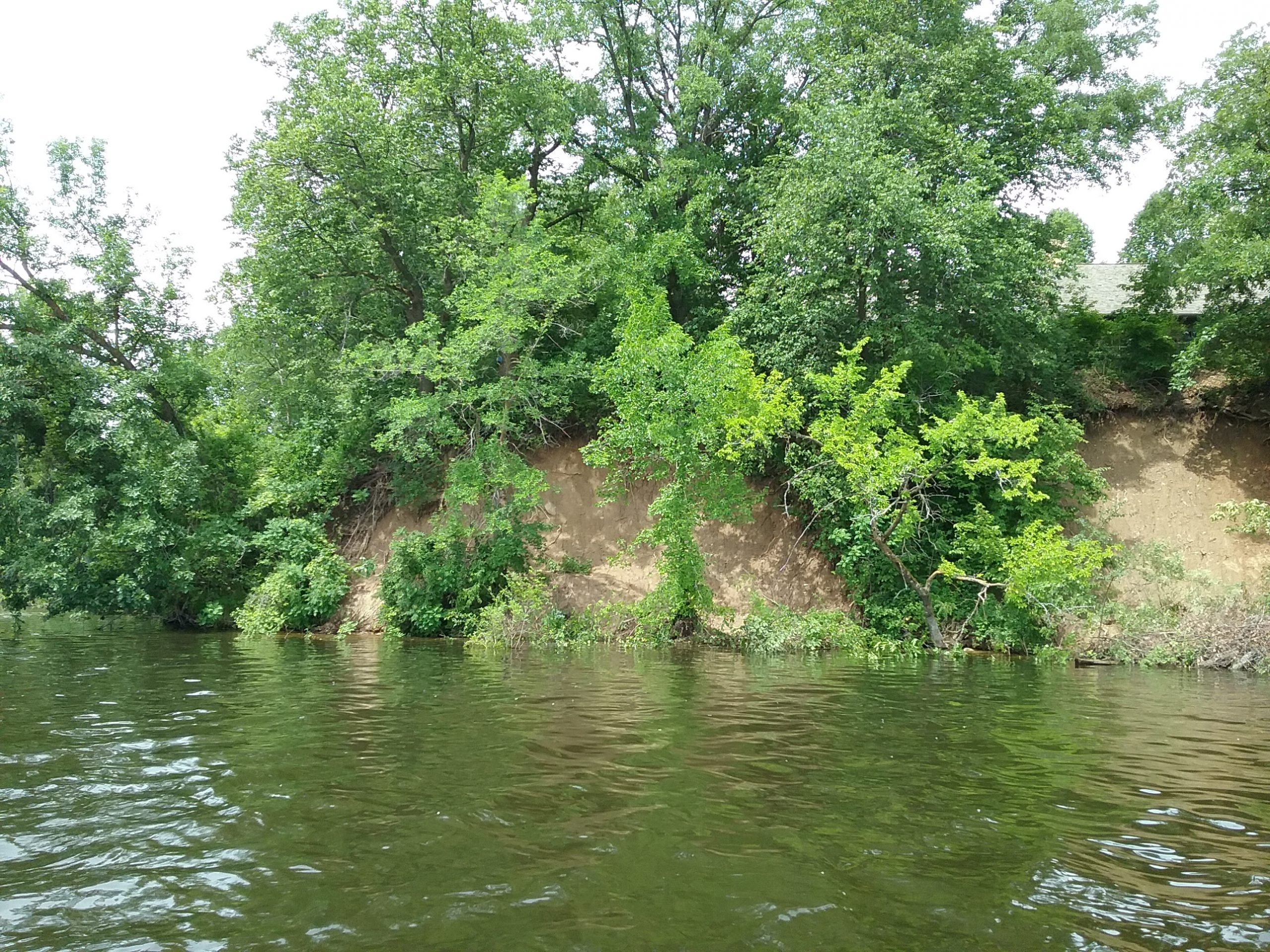 This shows more of the washout extending south of the Big Pine alongside the museum's east side. Note the museum's roof in the upper right corner of the photo. Taken July 3, 2020.