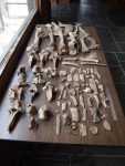 Collection of bison bones donated to the Morrison County Historical Society by the Eugene Koroll family of Little Falls, MN, in June 2015.